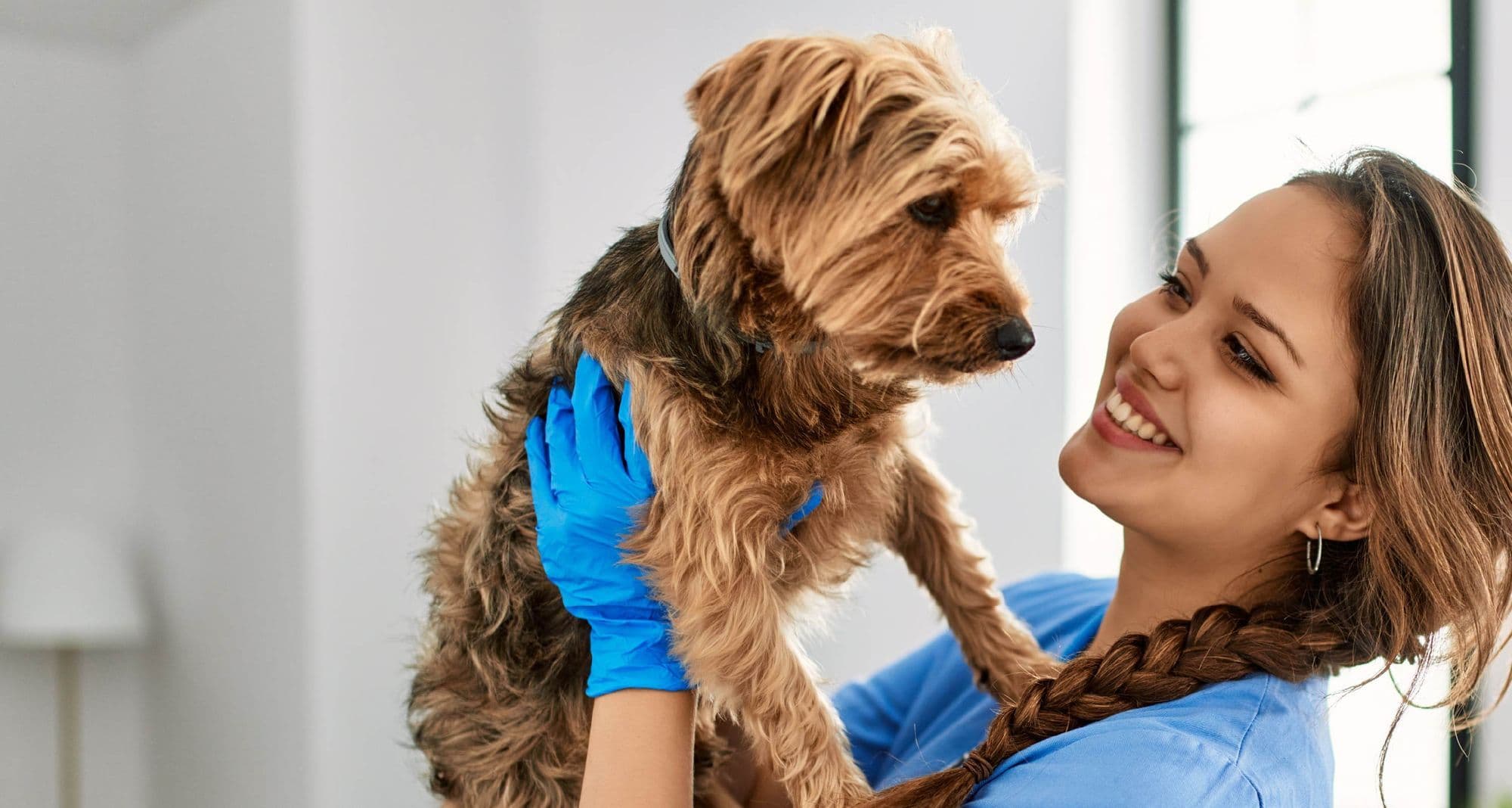How United Pet Care Optimized Broker Outreach with BenefitFlow